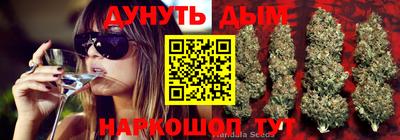 гидра Краснодар