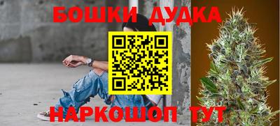 гидра Краснодар